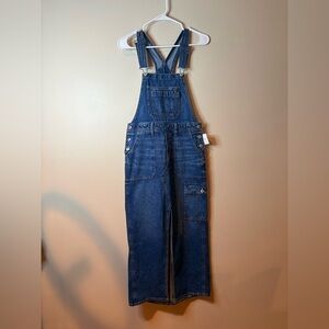 American Eagle Medium Wash Cargo Wide Leg Denim Overalls